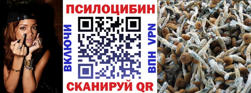 Галлюциногенные грибы прущие грибы Купить Димитровград