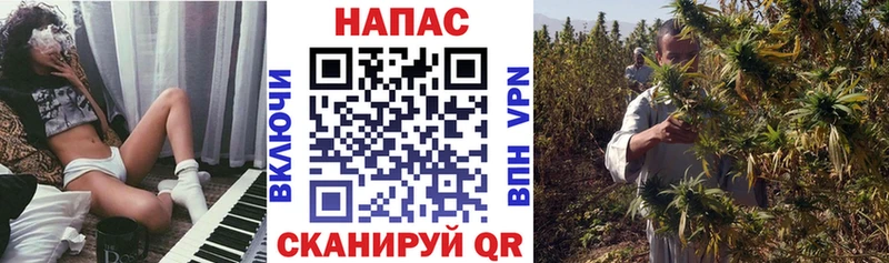 Марихуана семена  Купить где  Димитровград 